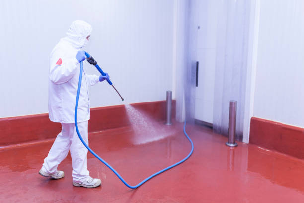 Best House Exterior Washing  in Aquebogue, NY