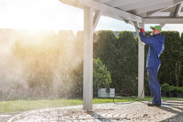 Best Roof Washing  in Aquebogue, NY