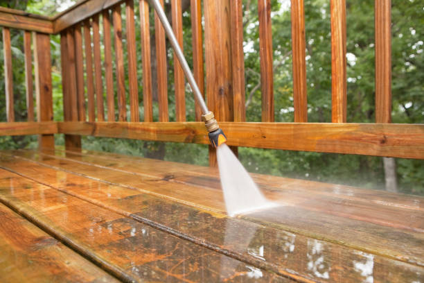 Best Dumpster Area Cleaning  in Aquebogue, NY